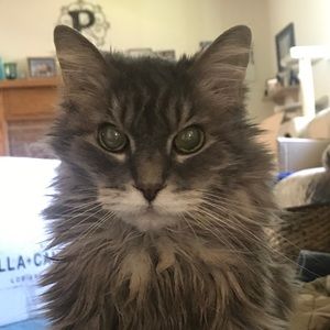 Meet your Posher, Kathy